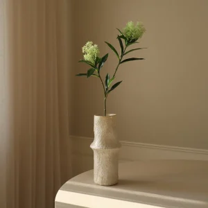 Botané Skimmia Beerenzweig Weiß