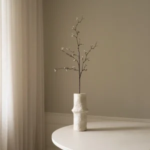 Botané Kirschblüten Zweig Weiß