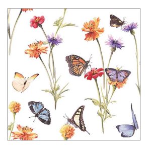 Ambiente Butterfly Garde