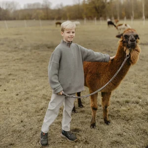 Chunky Knit Half-Zip Pullover (green)