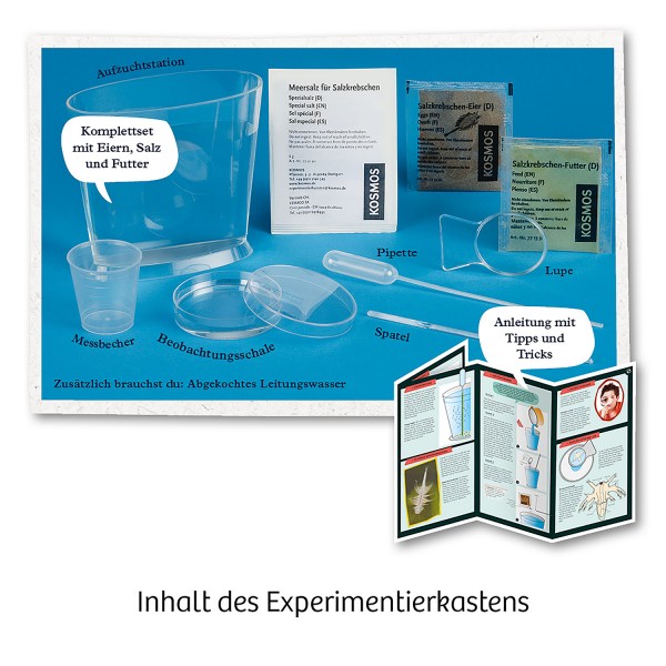 Experimentier Kasten „Urzeit-Krebse“ – Bild 7