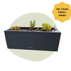 LECHUZA® Balconera Color – Balkonkasten mit Bewässerungssystem