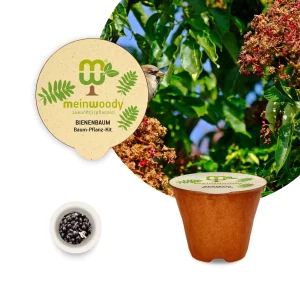 Bienenbaum Baum-Pflanz-Kit