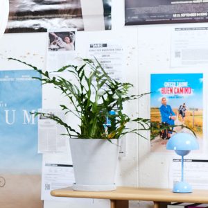 Flowerpot